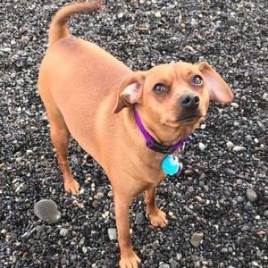 Meet your Posher, Christina